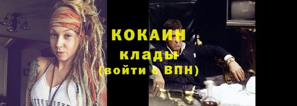 крисы Няндома