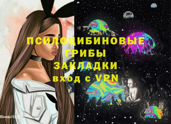 ECSTASY Туринск