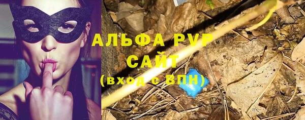 крисы Няндома