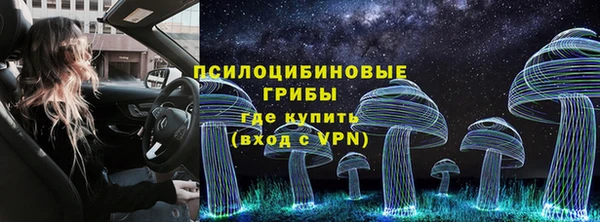 PSILOCYBIN Бородино