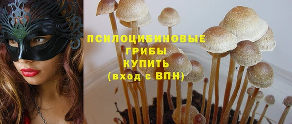 PSILOCYBIN Бородино